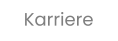 Karriere